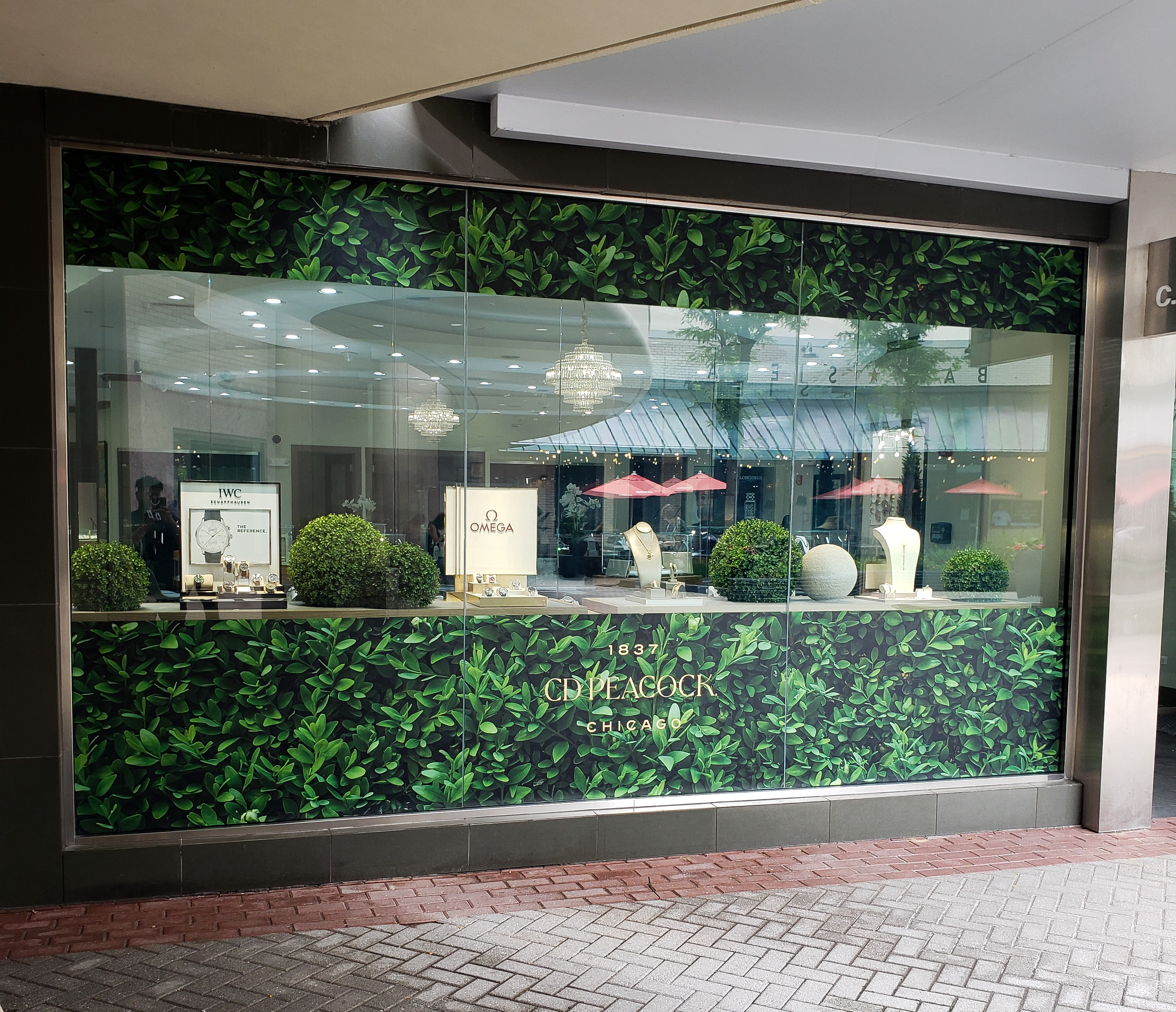 Peacock Window Graphics